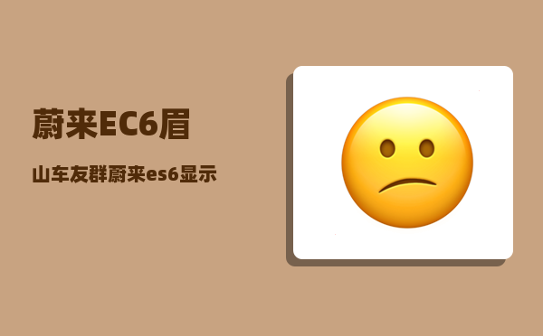 蔚来EC6眉山车友群_蔚来es6显示减震器故障怎么处理-图1