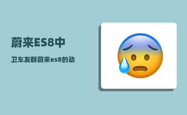 蔚来ES8中卫车友群_蔚来es8的动力相当于多大排量-图1