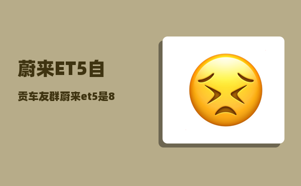 蔚来ET5自贡车友群_蔚来et5是800v架构吗-图1