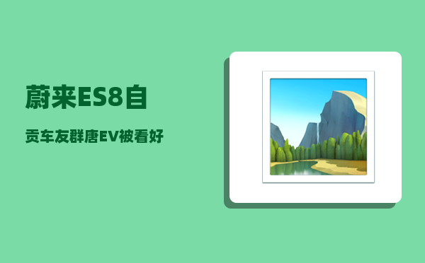 蔚来ES8自贡车友群_唐EV被看好-图1