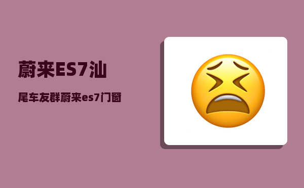 蔚来ES7汕尾车友群_蔚来es7门窗介绍-图1