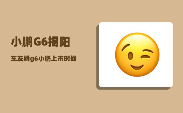 小鹏G6揭阳车友群_g6小鹏上市时间-图1