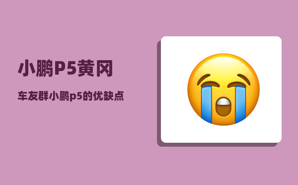 小鹏P5黄冈车友群_小鹏p5的优缺点-图1