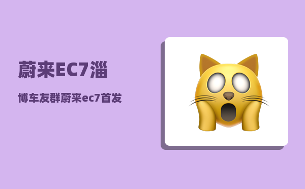 蔚来EC7淄博车友群_蔚来ec7首发版跟普通版-图1