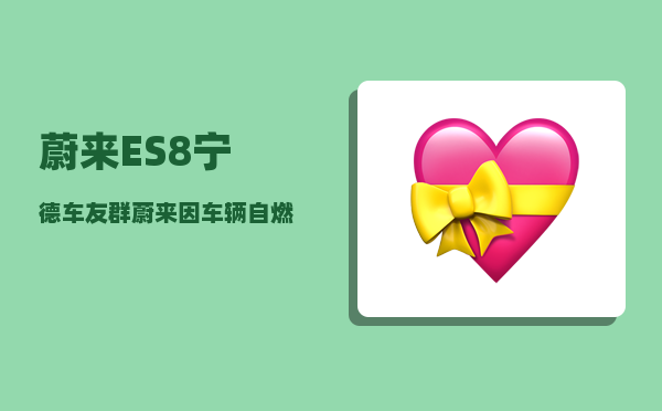 蔚来ES8宁德车友群_蔚来因车辆自燃召回4803辆ES8-图1