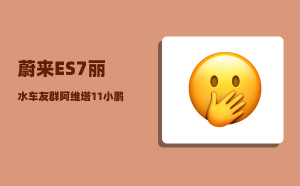 蔚来ES7丽水车友群_阿维塔11小鹏G9和蔚来ES7哪一个产品力更强-图1