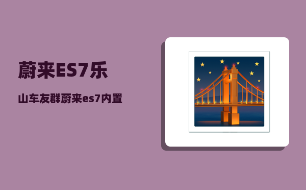 蔚来ES7乐山车友群_蔚来es7内置etc吗-图1