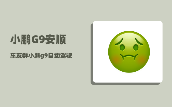 小鹏G9安顺车友群_小鹏g9自动驾驶多少级-图1