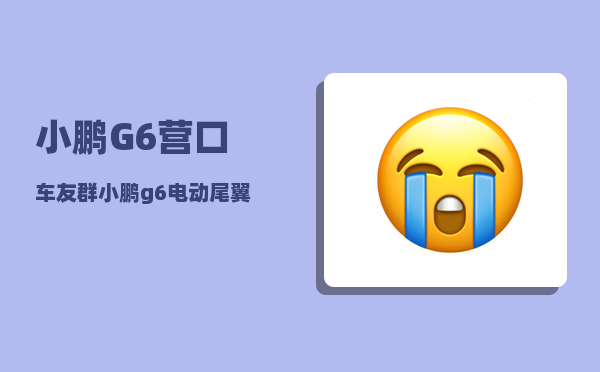 小鹏G6营口车友群_小鹏g6电动尾翼哪款有-图1