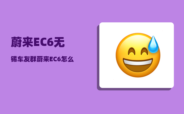 蔚来EC6无锡车友群_蔚来EC6怎么样跟福特电马选谁-图1