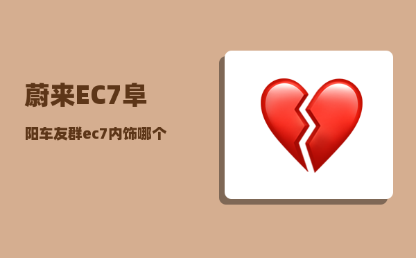 蔚来EC7阜阳车友群_ec7内饰哪个颜色好看-图1