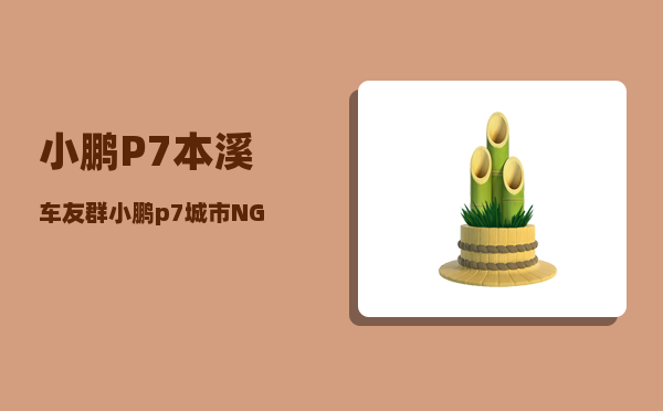小鹏P7本溪车友群_小鹏p7城市NGP开通了吗-图1