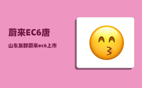 蔚来EC6唐山车友群_蔚来ec6上市时间-图1