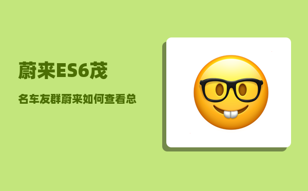 蔚来ES6茂名车友群_蔚来如何查看总公里数-图1