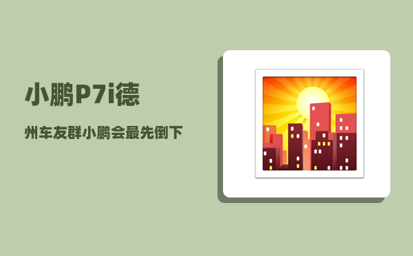 小鹏P7i德州车友群_小鹏会最先倒下吗-图1