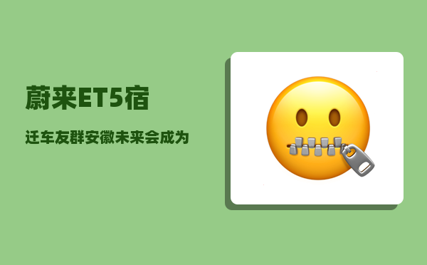 蔚来ET5宿迁车友群_安徽未来会成为经济强省吗-图1