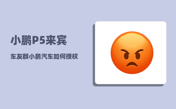 小鹏P5来宾车友群_小鹏汽车如何授权手机app-图1