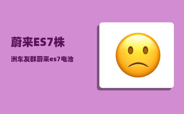 蔚来ES7株洲车友群_蔚来es7电池是哪家提供的-图1