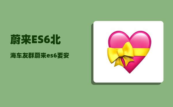蔚来ES6北海车友群_蔚来es6要安装防虫网吗-图1