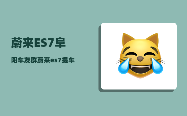 蔚来ES7阜阳车友群_蔚来es7提车注意事项-图1