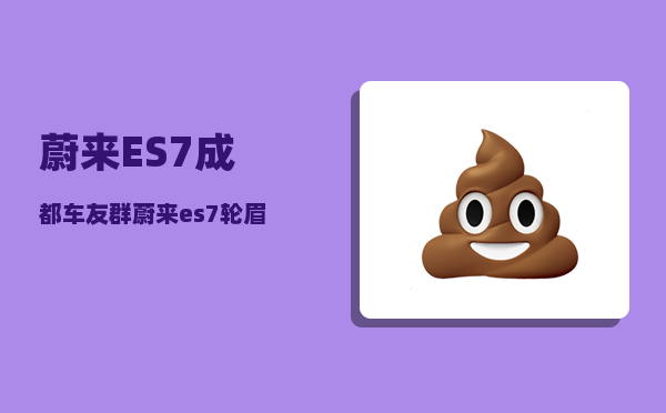 蔚来ES7成都车友群_蔚来es7轮眉灯有什么用-图1