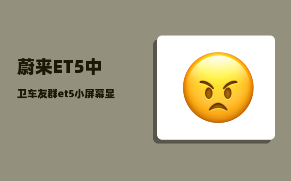 蔚来ET5中卫车友群_et5小屏幕显示的信息能调吗-图1
