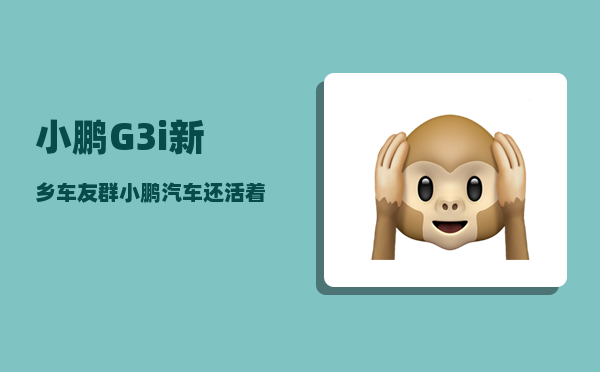 小鹏G3i新乡车友群_小鹏汽车还活着了吗-图1