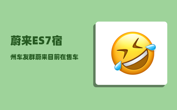蔚来ES7宿州车友群_蔚来目前在售车型-图1