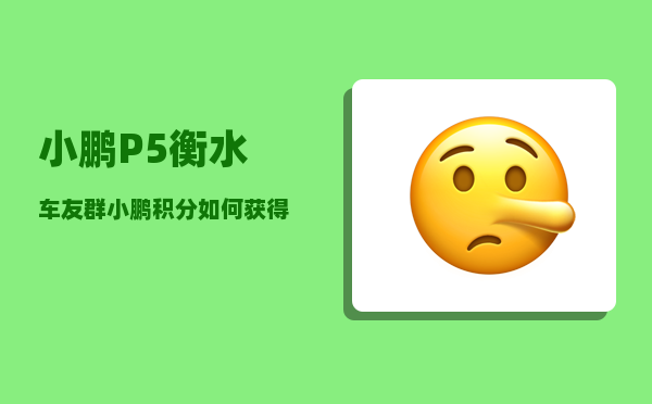 小鹏P5衡水车友群_小鹏积分如何获得-图1