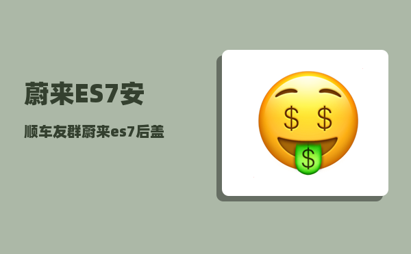 蔚来ES7安顺车友群_蔚来es7后盖关不上-图1