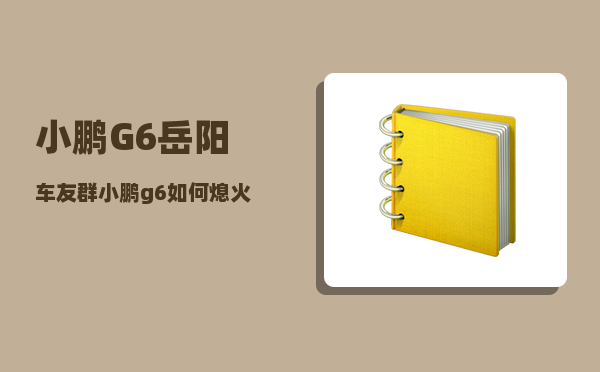 小鹏G6岳阳车友群_小鹏g6如何熄火-图1