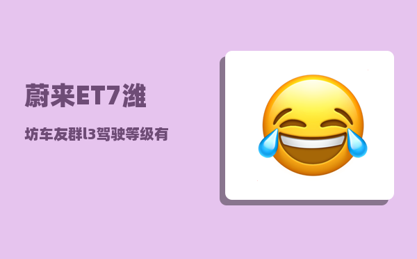 蔚来ET7潍坊车友群_l3驾驶等级有什么车-图1