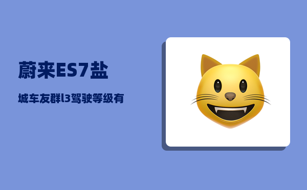 蔚来ES7盐城车友群_l3驾驶等级有什么车-图1