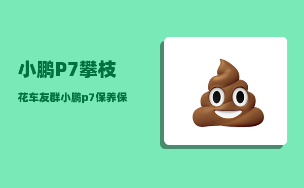 小鹏P7攀枝花车友群_小鹏p7保养保修手册-图1
