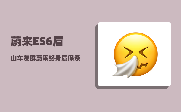 蔚来ES6眉山车友群_蔚来终身质保条件-图1