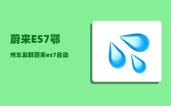 蔚来ES7鄂州车友群_蔚来es7自动驾驶会超车吗-图1