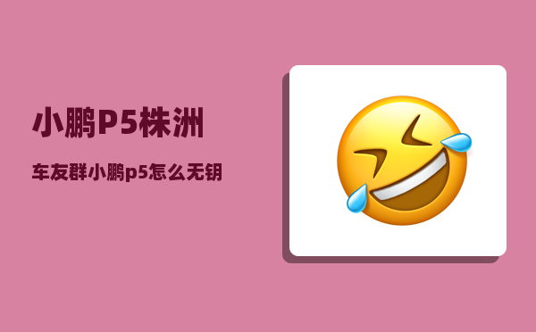 小鹏P5株洲车友群_小鹏p5额定电压-图1
