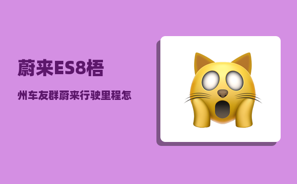 蔚来ES8梧州车友群_蔚来行驶里程怎么看-图1