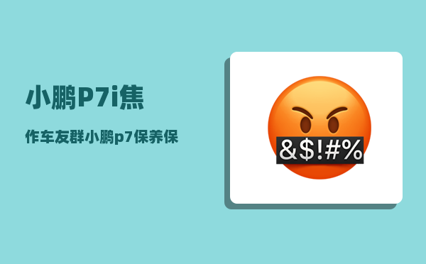 小鹏P7i焦作车友群_小鹏p7保养保修手册-图1