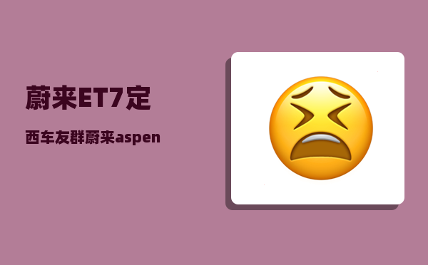 蔚来ET7定西车友群_蔚来aspen和banyan区别-图1