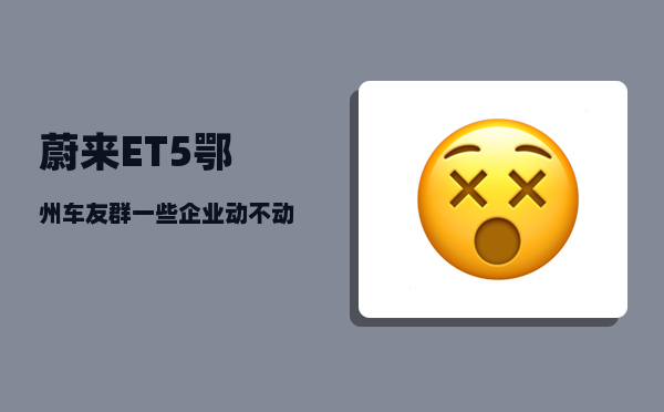 蔚来ET5鄂州车友群_一些企业动不动投资几百亿-图1