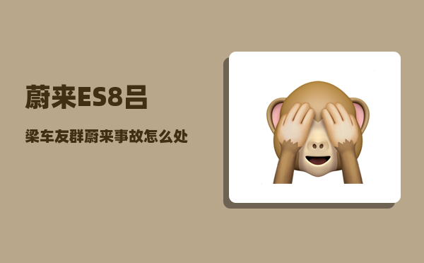 蔚来ES8吕梁车友群_蔚来事故怎么处理-图1