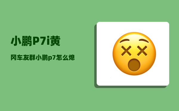 小鹏P7i黄冈车友群_小鹏p7怎么熄火-图1
