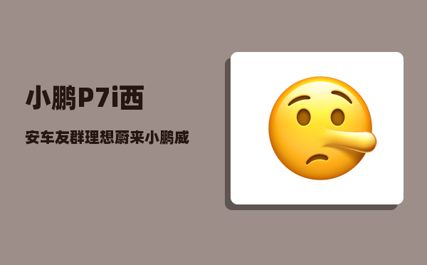 小鹏P7i西安车友群_理想蔚来小鹏威马恒驰和比亚迪谁能笑到最后-图1