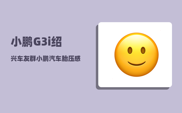 小鹏G3i绍兴车友群_小鹏汽车胎压感应不到-图1