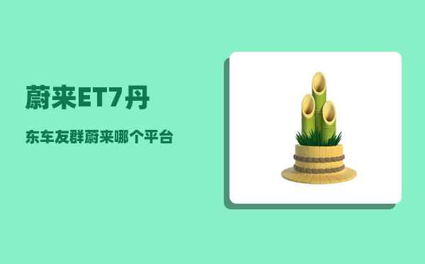 蔚来ET7丹东车友群_蔚来哪个平台-图1