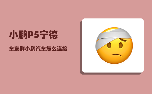 小鹏P5宁德车友群_小鹏汽车怎么连接wifi-图1