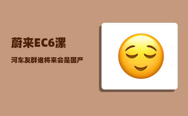 蔚来EC6漯河车友群_谁将来会是国产车之首-图1