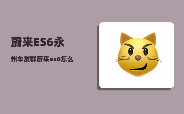 蔚来ES6永州车友群_蔚来es6怎么跟手机连接-图1