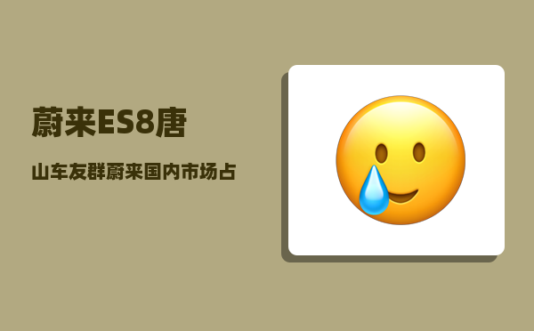 蔚来ES8唐山车友群_蔚来国内市场占有率多少-图1